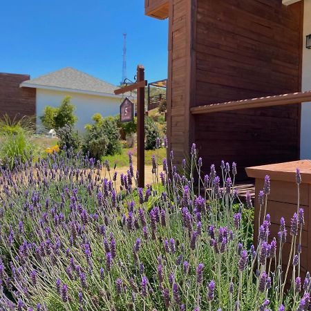 Entrevalle Hotel Boutique Valle de Guadalupe Exterior photo