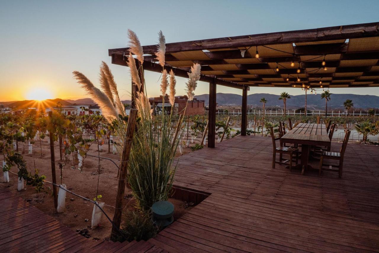 Entrevalle Hotel Boutique Valle de Guadalupe Exterior photo